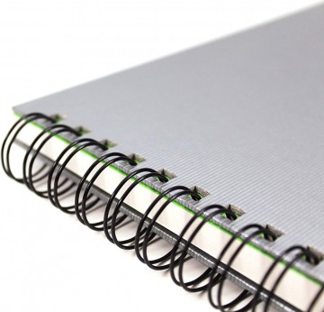 5077 art gecko flashy zilver a4