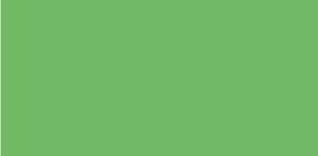 513 112 faber castell pitt artist brush pen leaf green