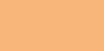 513 113 faber castell pitt artist brush pen orange glaze