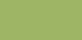 513 170 faber castell pitt artist brush pen may green