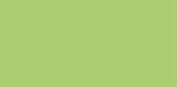 513 171 faber castell pitt artist brush pen light green