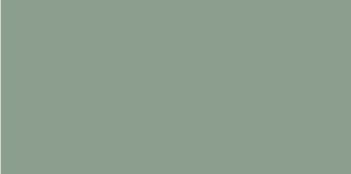 513 172 faber castell pitt artist brush pen earth green