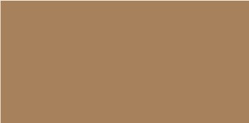 513 180 faber castell pitt artist brush pen raw umber