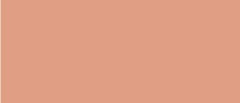 513 189 faber castell pitt artist brush pen cinnamon