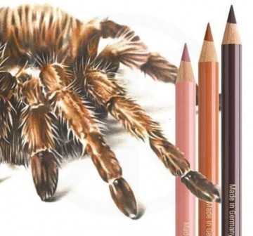 5191 faber castell polychromos set spin spider