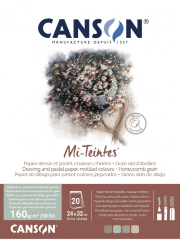 5218 canson mi teintes mottled 1