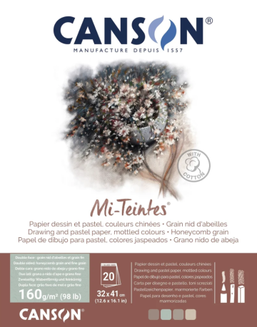 5218 canson mi teintes mottled 3