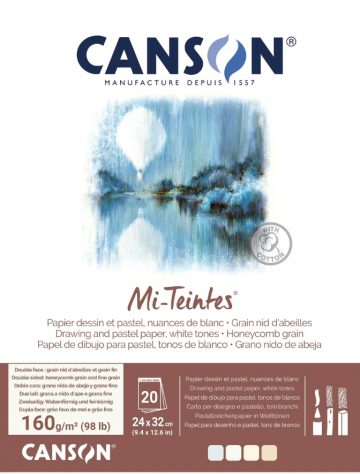 5218 canson mi teintes white tones 5
