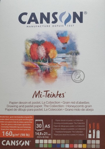 5234 canson mi teintes the collection