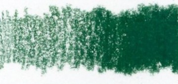 540 derwent drawing 5130 rainforest