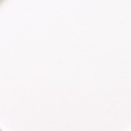 729 panpastel 1005 titanium white 0