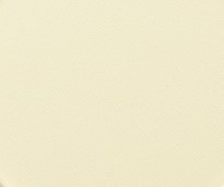 729 panpastel 2205 hansa yellow tint