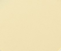 729 panpastel 2708 yellow oxide tint