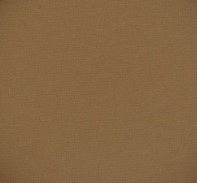 729 panpastel 2801 orange extra dark