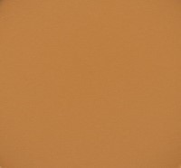 729 panpastel 2803 orange shade