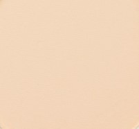 729 panpastel 2808 orange tint