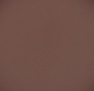 729 panpastel 3801 red iron oxide extra dark