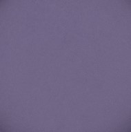 729 panpastel 4703 violet shade
