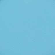 729 panpastel 5805 turquoise