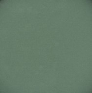 729 panpastel 6401 permanent green extra dark