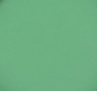 729 panpastel 6405 permanent green