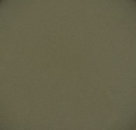 729 panpastel 6801 bright yellow green extra dark