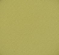 729 panpastel 6803 bright yellow green shade