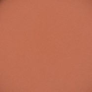 729 panpastel 7405 burnt sienna