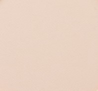 729 panpastel 7408 burnt sienna tint