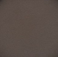 729 panpastel 7801 raw umber extra dark