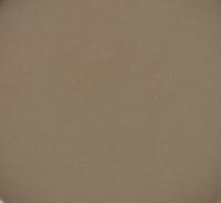 729 panpastel 7805 raw umber