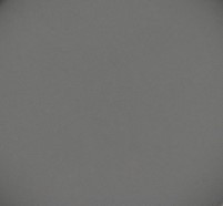 729 panpastel 8202 neutral gray extra dark