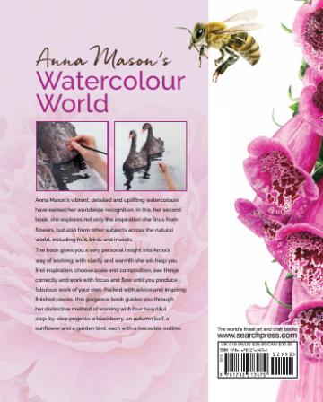 Anna mason watercolor world10
