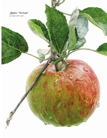 Anna mason watercolor world2