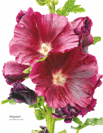 Anna mason watercolor world4