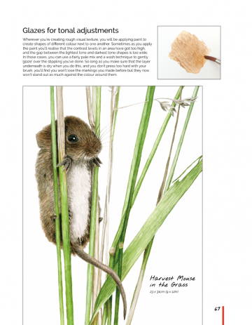 Anna mason watercolor world8