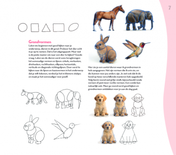 Basisboek dieren tekenen en schilderen julia woning 4