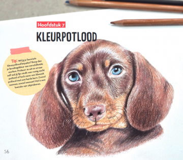 Basisboek dieren tekenen en schilderen julia woning 6