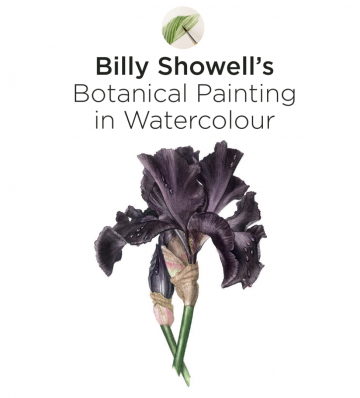 Billy showell botanical painting watercolour