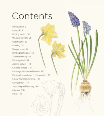 Billy showell botanical painting watercolour2