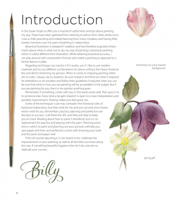 Billy showell botanical painting watercolour3