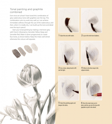 Billy showell botanical painting watercolour7