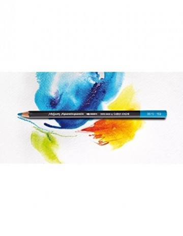 Caran dache museum aquarelle5