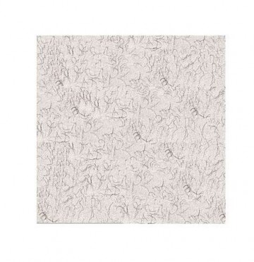 Clairefontaineingrespastelpapier lichtgijs