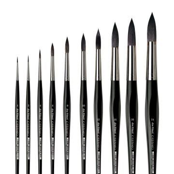 Davincicasaneoserie5598rondaquarelpenseel