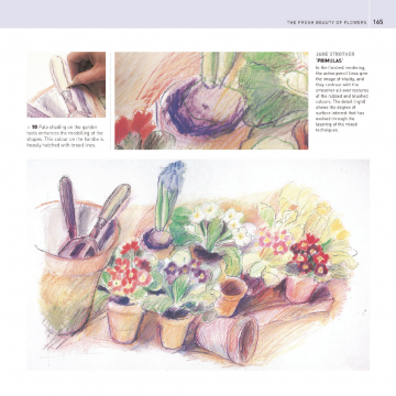 Enclyclopedia coloured pencil judy martin 4