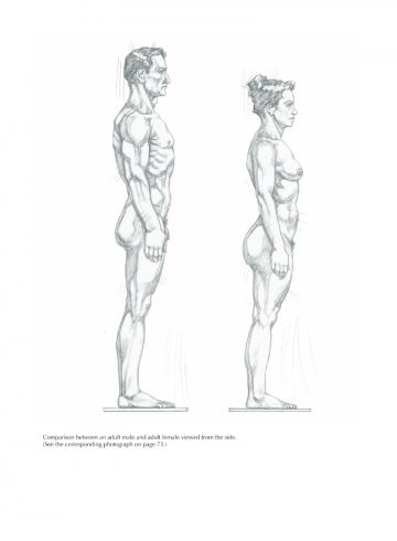 Figure drawing civardi3