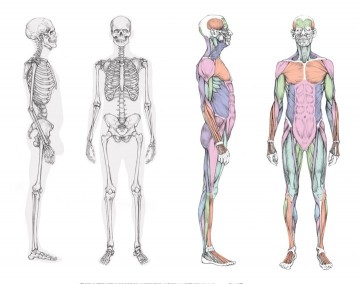 Figure drawing jake spicer3