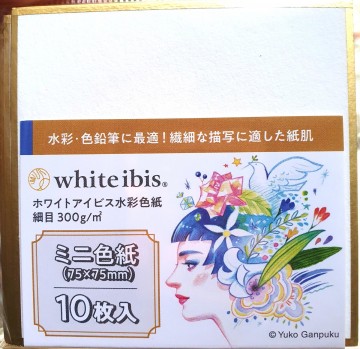 Holbein white ibis watercolour carton