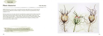 Just draw botanicals 0